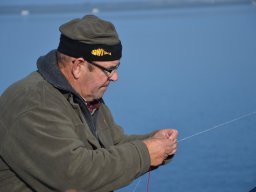 Competities HSV Alfheim